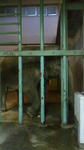 2011110516200001.jpg