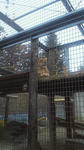 2011110516310000.jpg