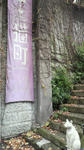 2011120212410001.jpg