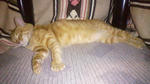 2011120214310001.jpg