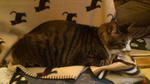 2011120214440001.jpg
