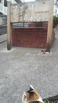 2011120215250000.jpg