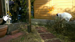 2011121115110000.jpg