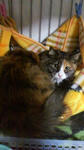 2011121620240001.jpg