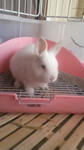2012010413290000.jpg