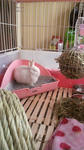 2012010414060001.jpg