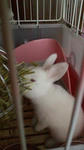 2012010415300000.jpg