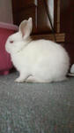 2012010415420000.jpg