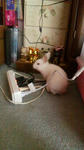 2012010415430001.jpg
