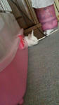 2012010415440000.jpg