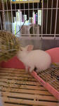 2012010517430000.jpg