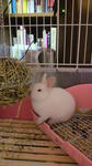 2012010517430001.jpg