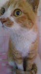 2012010608560001.jpg