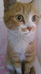 2012010608560002.jpg