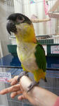 2012011118100000.jpg