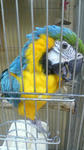 2012011118100003.jpg