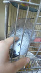 2012011118130000.jpg