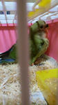 2012011516280001.jpg