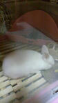 2012011619150001.jpg