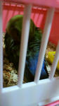 2012011619160000.jpg