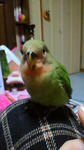 2012011718070000.jpg