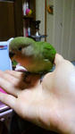 2012011718080000.jpg
