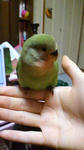 2012011718080001.jpg