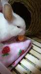2012011806340000.jpg