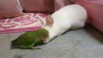 2012012117270001.jpg
