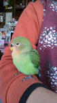 2012012210220000.jpg