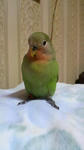 2012012617330000.jpg