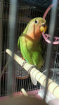 2012013012200001.jpg