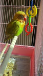 2012020411380000.jpg