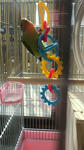 2012020411390001.jpg