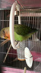 2012020808300000.jpg