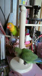 2012020808400000.jpg