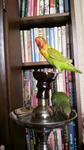 2012020808420001.jpg