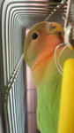 2012021111020000.jpg