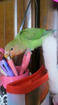 2012021008290001.jpg