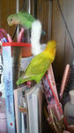 2012021008290000.jpg