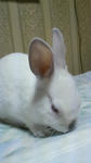 2012021121280000.jpg