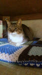 2011121620340000.jpg
