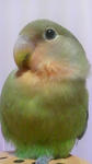 2012022618580002.jpg