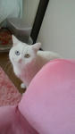 2012030307160000.jpg