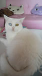 2012030710190000.jpg