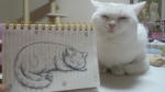 2012030621110000.jpg