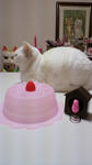 2012031018330000.jpg