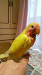 2012031617510000.jpg