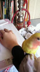 2012040613030000.jpg