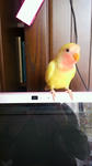 2012040612590000.jpg